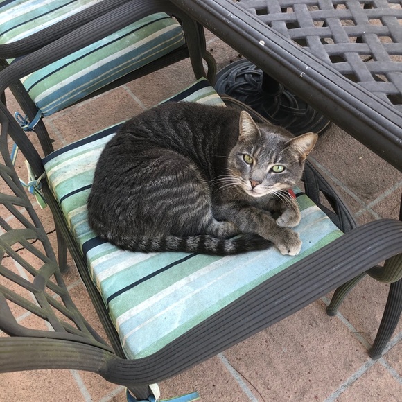 MEET YOUR POSHER - Picture 5 of 5